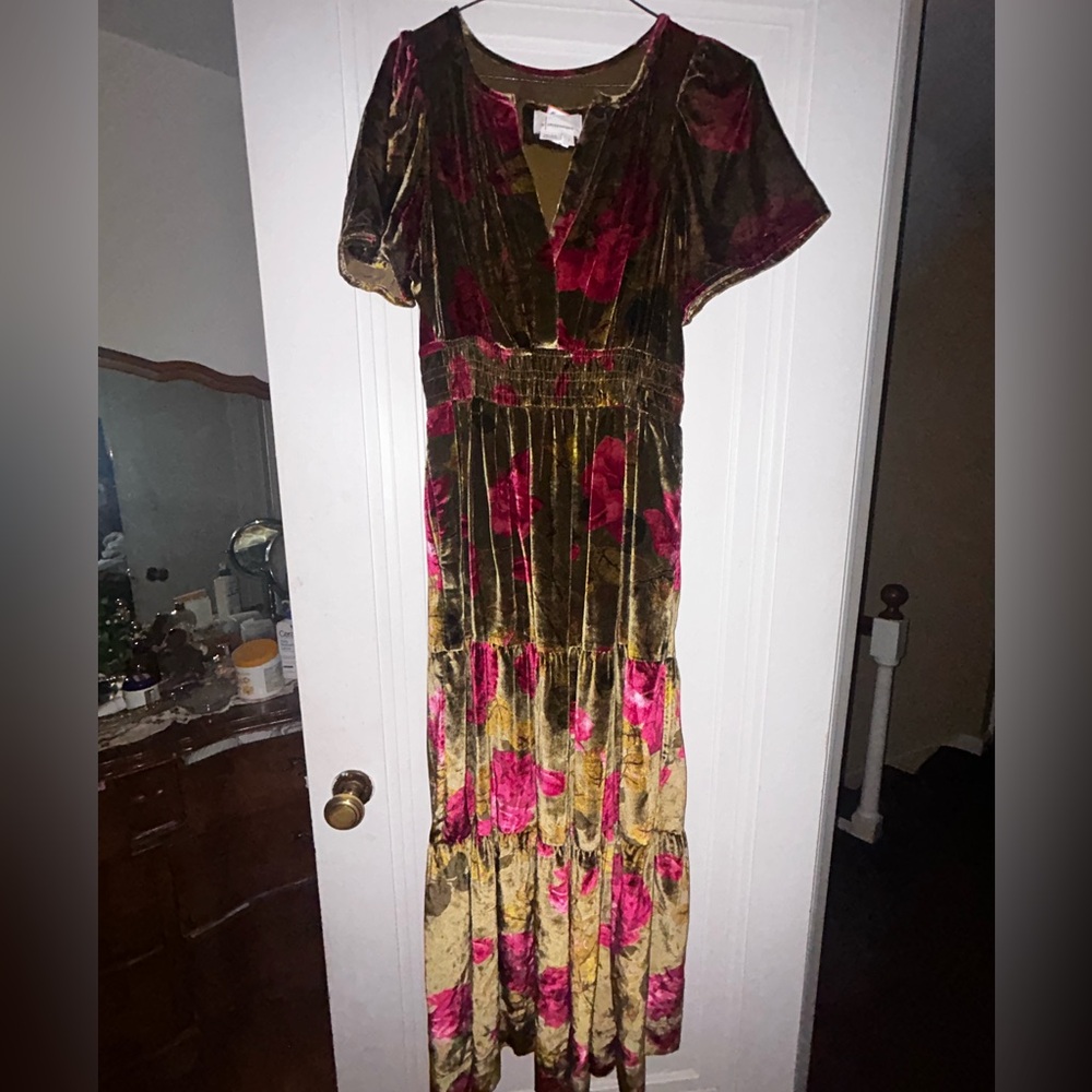 Anthropologie Velvet Maxi Dress in Pink and Gold